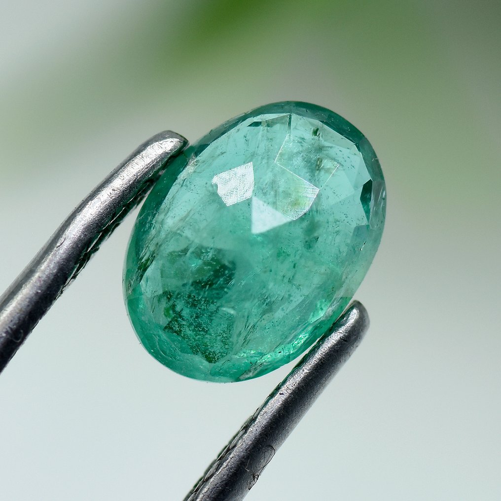 Zonder minimumprijs - 1 pcs  Groen Smaragd  - 1.42 ct - Antwerp Laboratory for Gemstone Testing (ALGT) - Zonder reserveprijs #1.0
