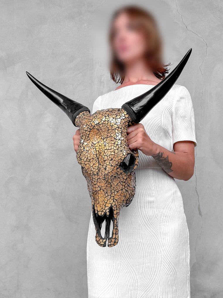 无底价 - 令人惊叹的牛头骨，镶嵌玻璃马赛克-金色 颅骨 - Bos Taurus - 56 cm - 54 cm - 18 cm- 非《濒危物种公约》物种 -  (1) #1.0