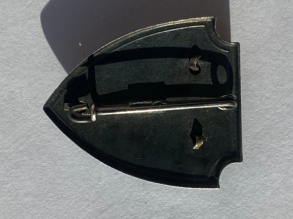 義大利 - 軍功章 - CAI登山俱乐部意大利徽章，金属与珐琅制成，带浮雕鹰图案 #4.3