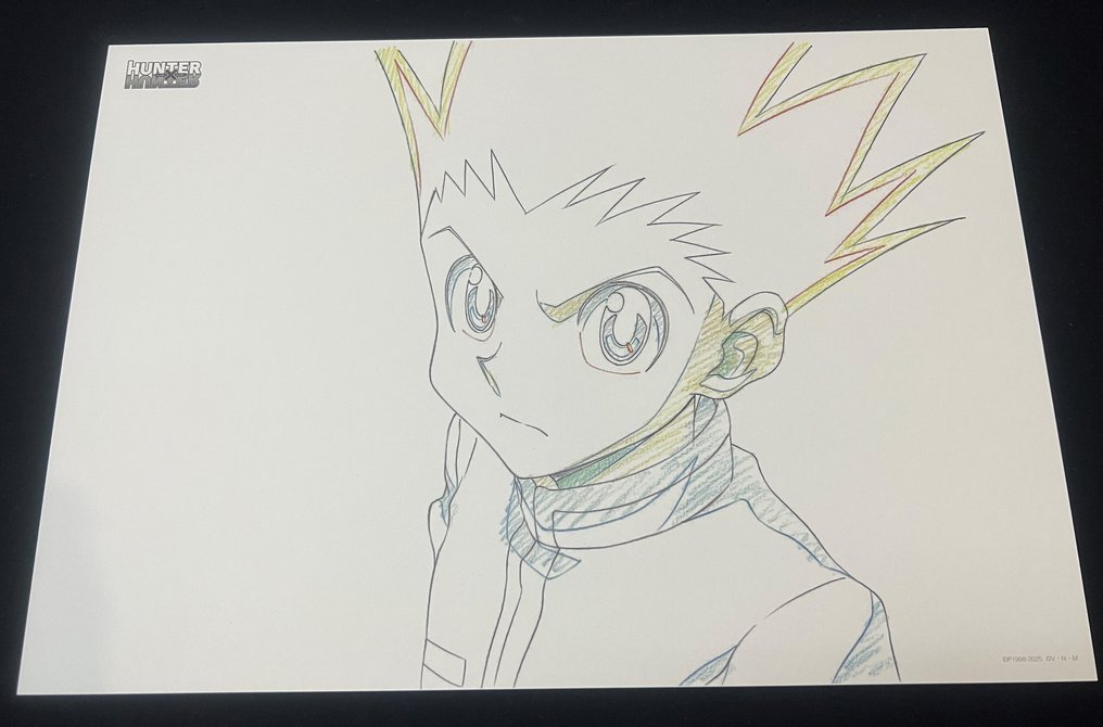 Yoshihiro Togashi - 1 Giclée - HUNTER X HUNTER - Rare Event Giclée - Gon #1.0