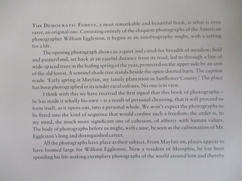 William Eggleston - The Democratic Forest - 1989 #4.3