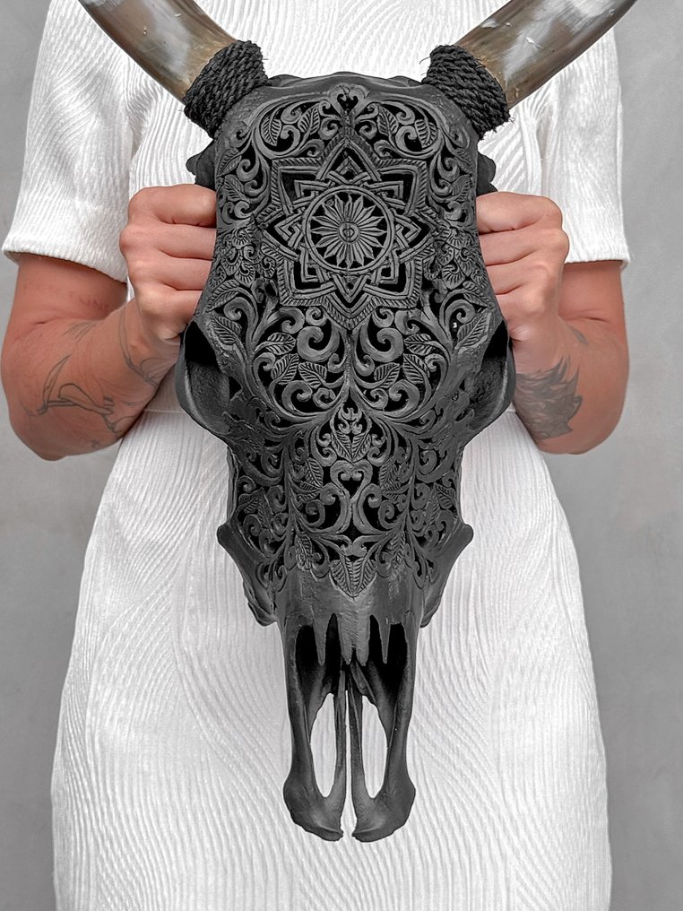 无底价 - 手工雕刻黑色牛头骨 - 星辰曼陀罗图案 雕刻的颅骨 - Bos taurus - 53 cm - 36 cm - 20 cm- 非《濒危物种公约》物种 -  (1) #1.0