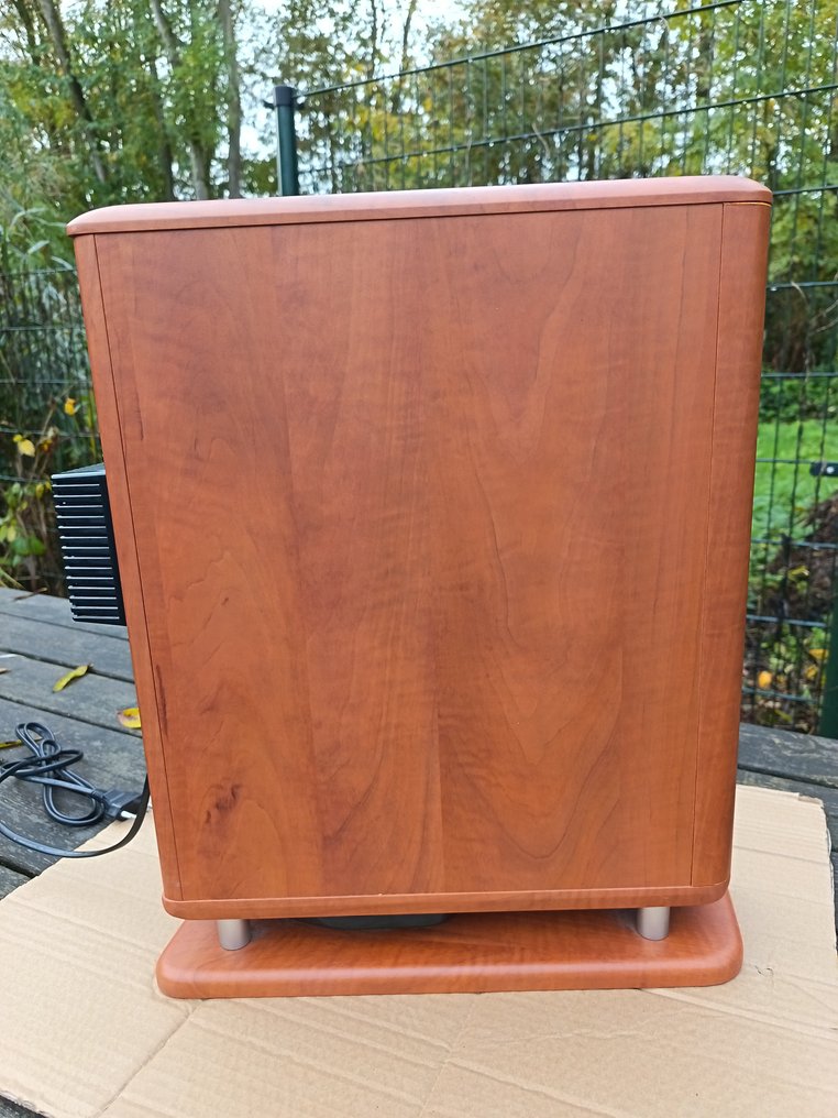 Denon - DSW-L3 - Subwoofer activ Set difuzoare de subwoofer #1.0