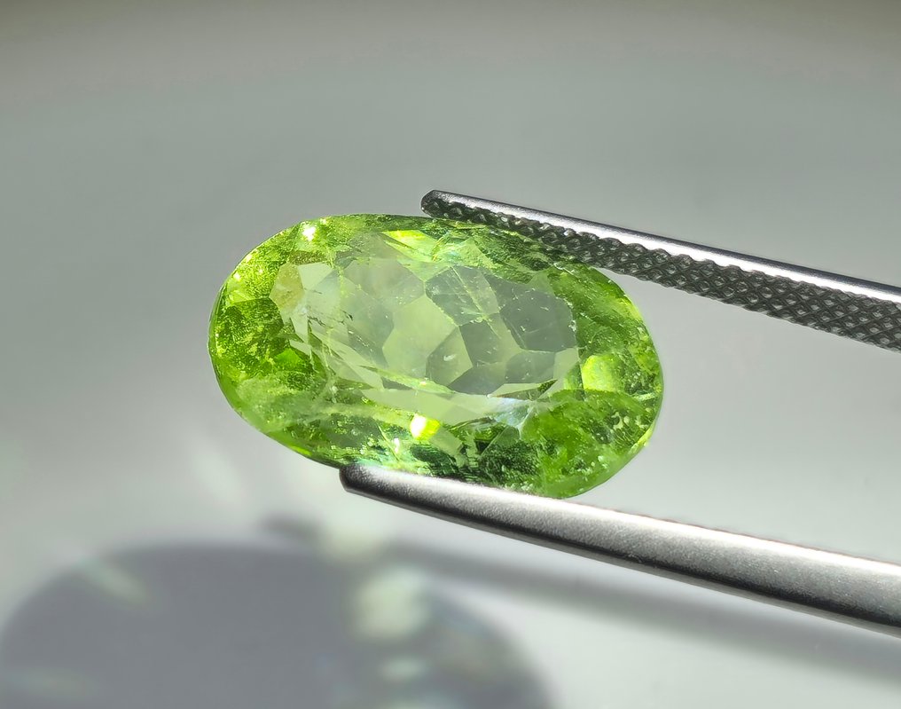 没有保留价 - 1 pcs  黄色, 绿色 橄榄石  - 9.20 ct - 国际宝石研究院（IGI） #1.0