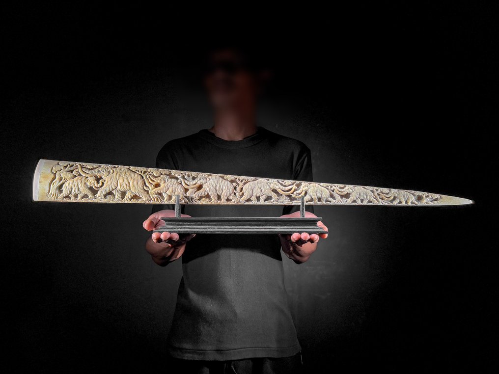 无底价 - 精细雕刻的大型剑鱼吻部,放置在定制底座上 - 史前野生动物 吻突 - Xiphias Gladius - 14 cm - 83 cm - 6 cm- 非《濒危物种公约》物种 - (1) #1.0