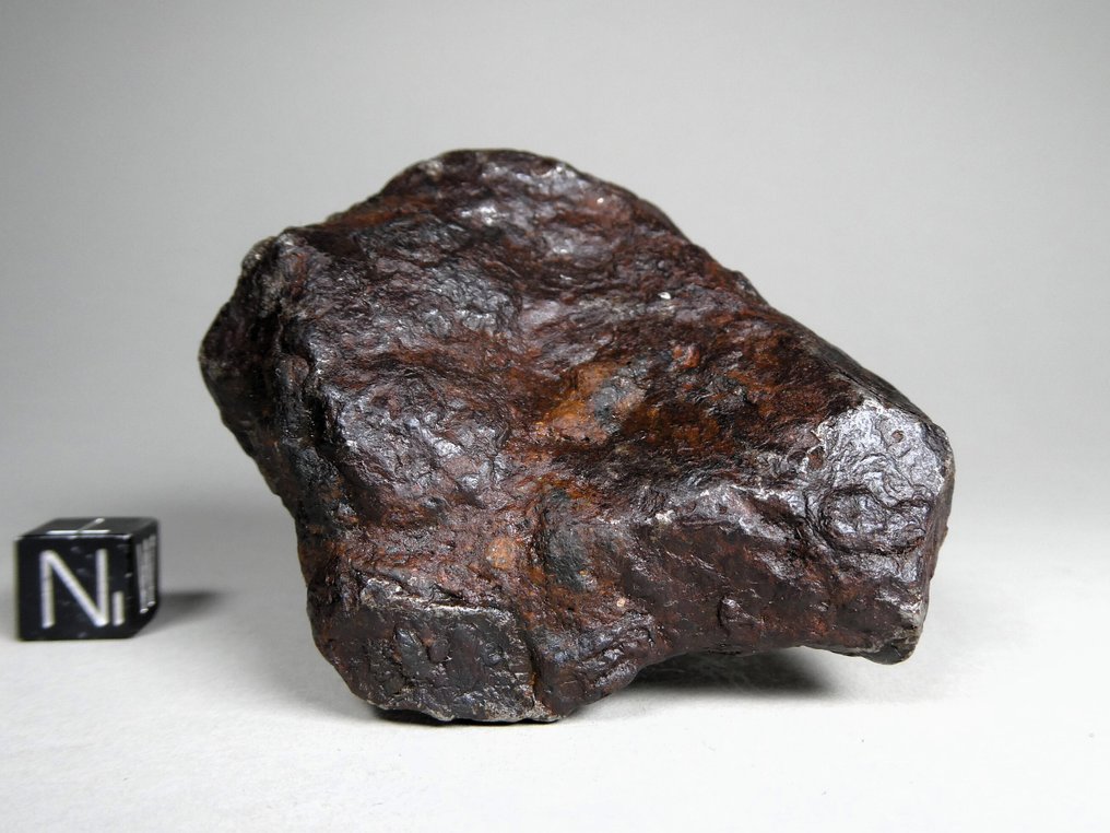 Αλετάι σιδηρομετεωρίτης ατομικό IIIE ανωμαλός - 439 g #3.2