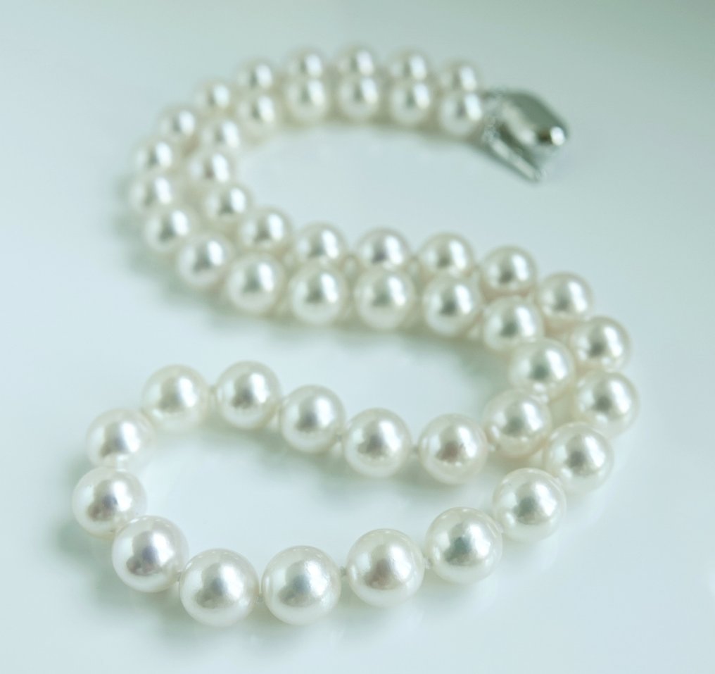 Collana Argento Perla - Perla di Akoya rotonda 8-8,5mm #1.0