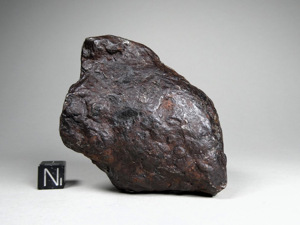 Αλετάι σιδηρομετεωρίτης ατομικό IIIE ανωμαλός - 439 g #4.3
