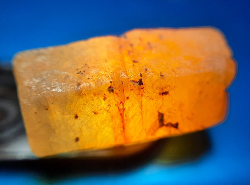 19.8 克拉“稀有的”大块未处理天然黄色蓝宝石 粗糙- 3.96 g #4.3