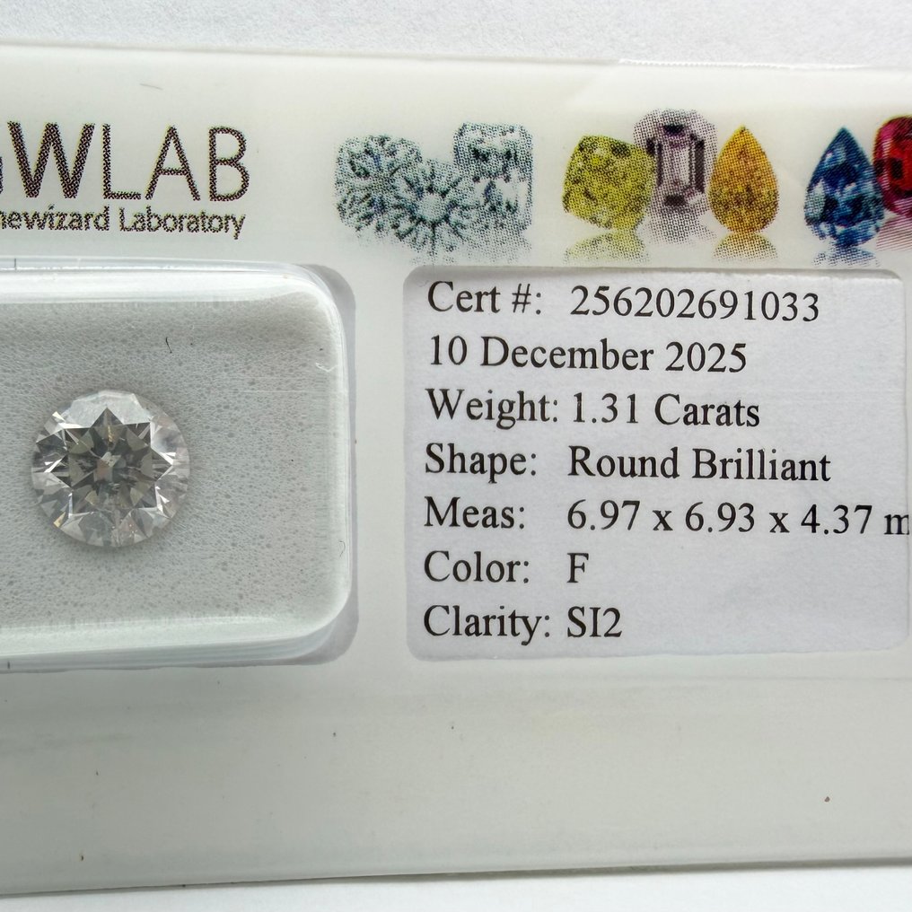 Sans prix de réserve - 1 pcs Diamant (Naturelle) - 1.31 ct - Rond - F - SI2 - Gemewizard Gemological Laboratory (GWLab) #1.0