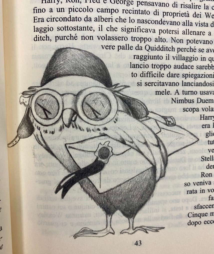 Joanne K. Rowling; Serena Riglietti - Harry Potter e la Camera dei Segreti – 1ª edición italiana temprana – Sobrecubierta rara “Joanne K. - 1999 #4.3