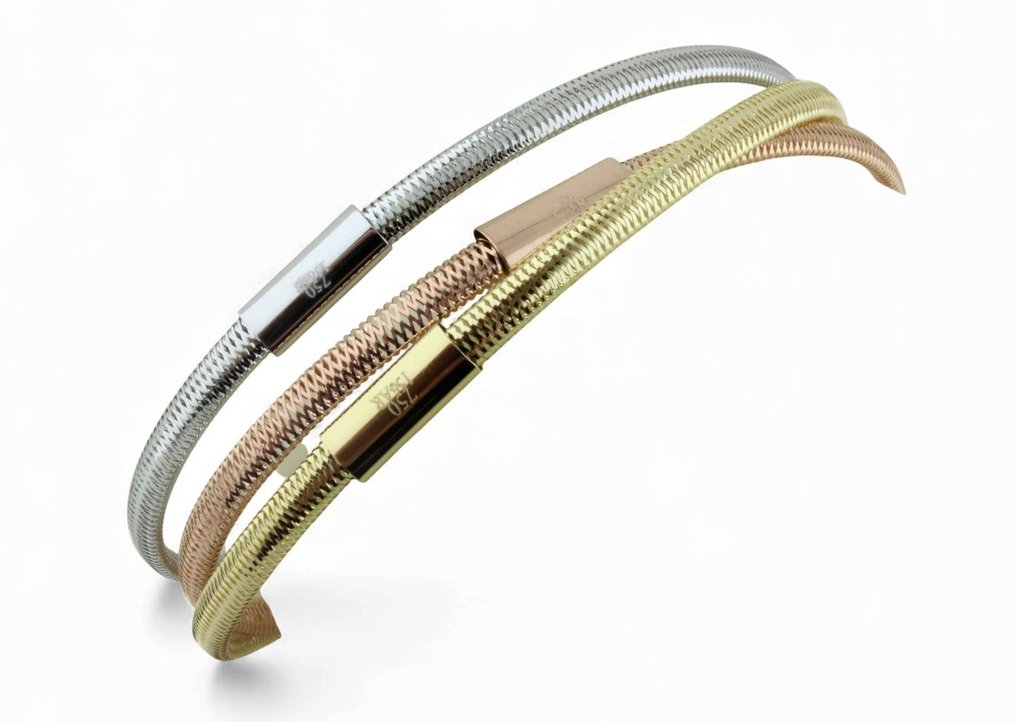 Βραχιόλι - 18 καράτια Κίτρινο χρυσό, Λευκός χρυσός, Ροζ χρυσό #2.1