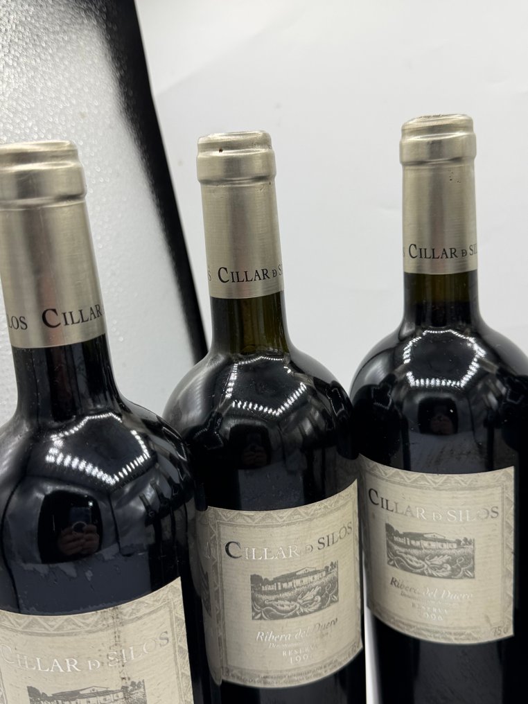 1996 Bodega de la Villa, Cillar de Silos - Ρίμπερα ντελ Ντουέρο Reserva - 6 Φιάλη (0,75L) #2.1