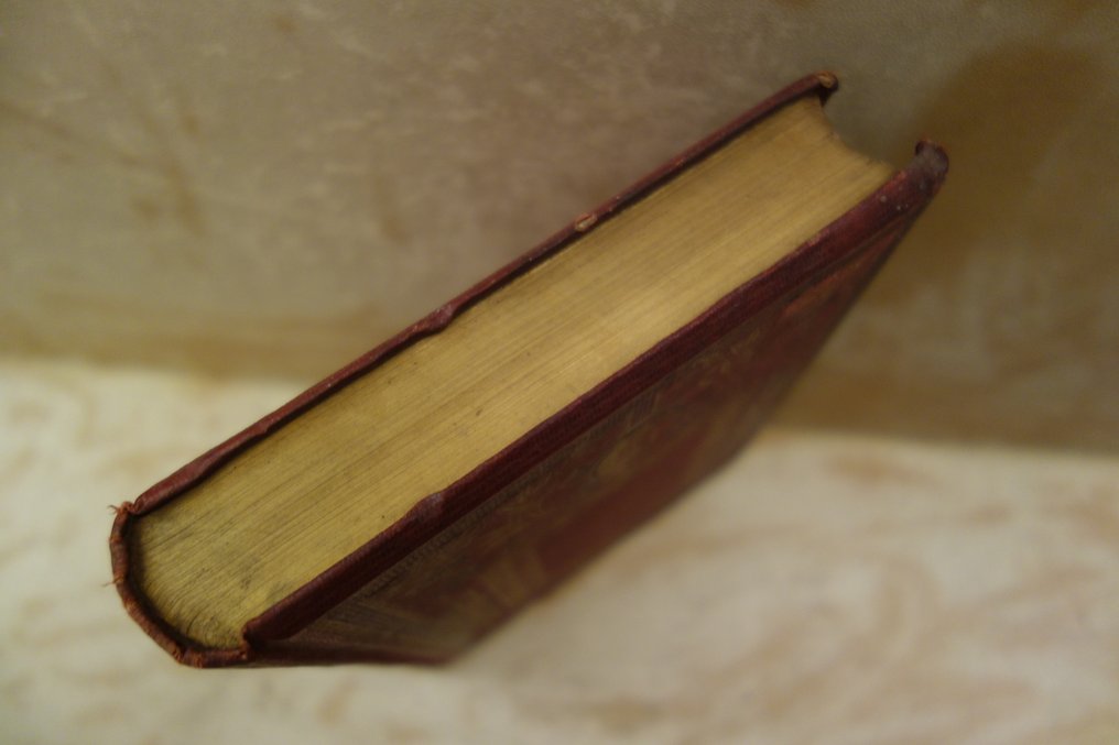 E. Cortambert - Voyage Pittoresque à travers le Monde - 1877 #4.3