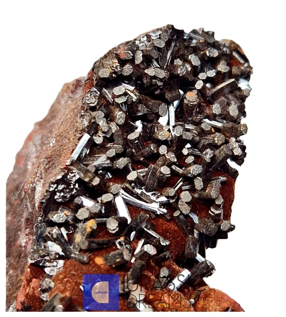 顶级稀有不寻常的部分Gohetite晶簇，配以令人惊叹的棱柱状柱状Pyrolusite晶体- 74 g #1.0