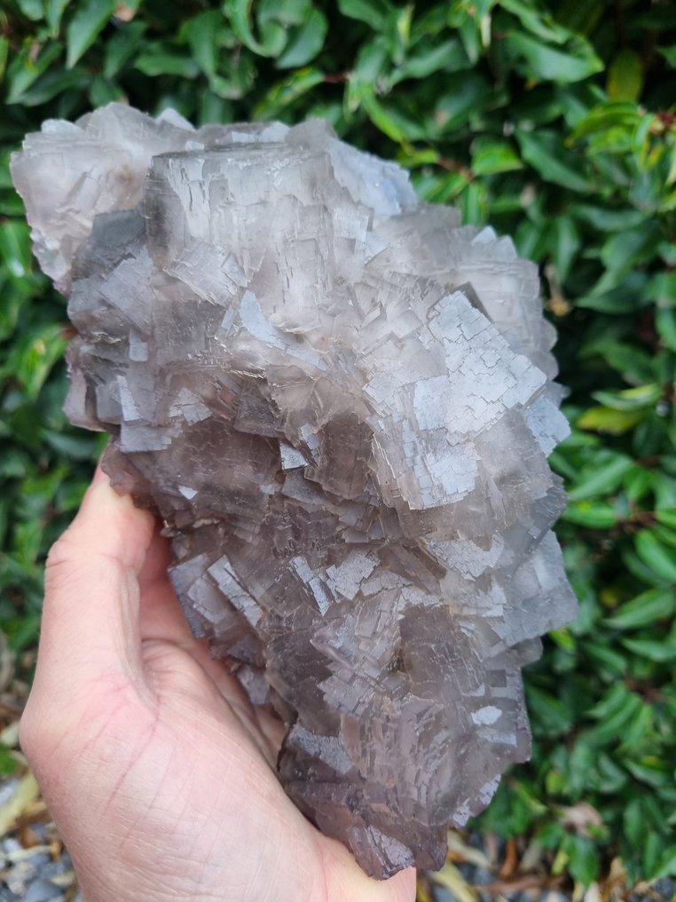 XXL High Quality Grey Fluorite - Height: 215 mm - Width: 145 mm- 2910 g #1.0