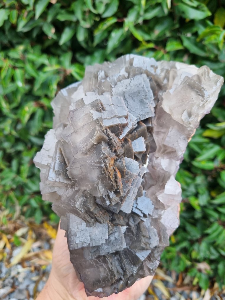 XXL High Quality Grey Fluorite - Height: 215 mm - Width: 145 mm- 2910 g #3.2