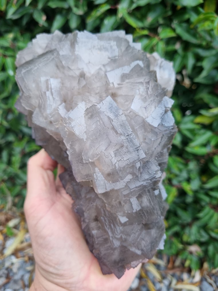 XXL High Quality Grey Fluorite - Height: 215 mm - Width: 145 mm- 2910 g #1.0