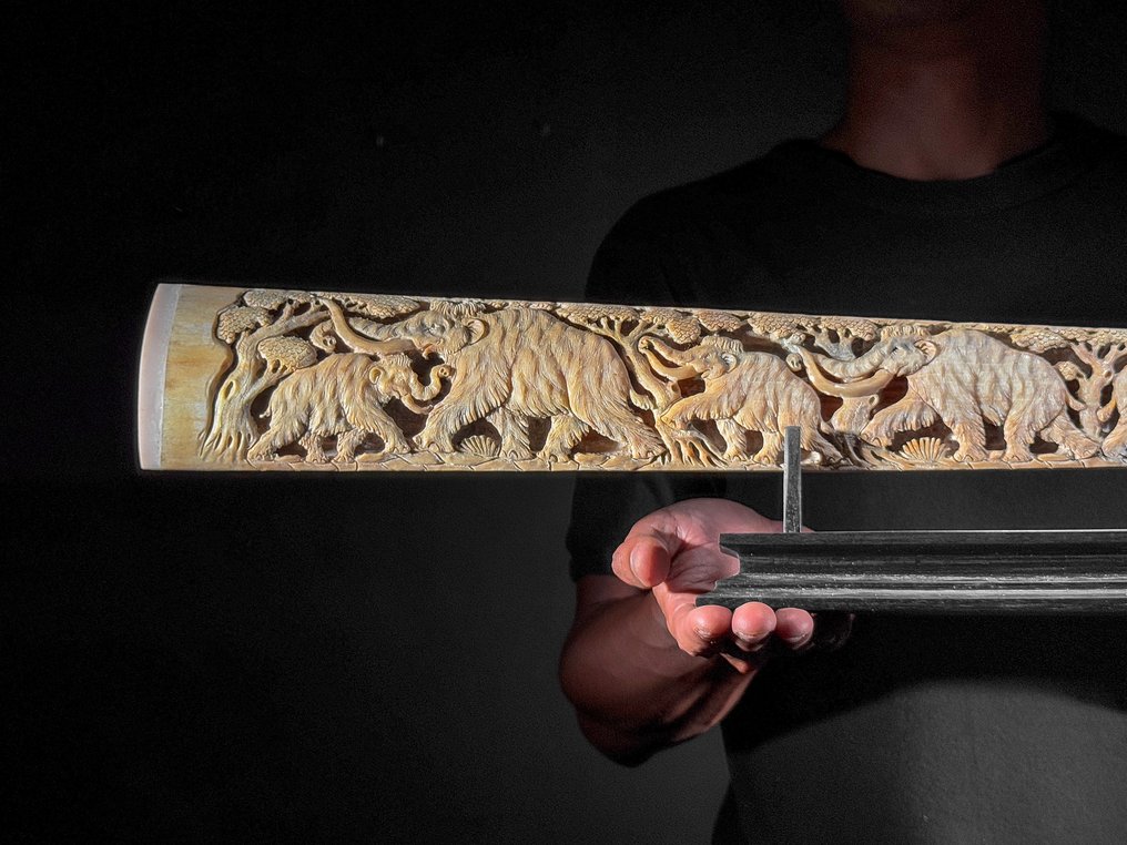 无底价 - 精细雕刻的大型剑鱼吻部,放置在定制底座上 - 史前野生动物 吻突 - Xiphias Gladius - 14 cm - 83 cm - 6 cm- 非《濒危物种公约》物种 - (1) #1.0