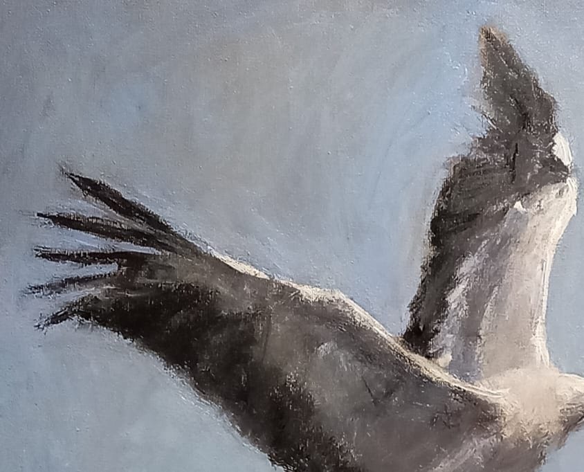 GONZHO - Sin rumbo  (No reserve) #3.2