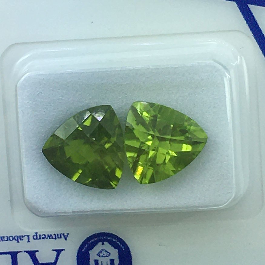 没有保留价 - 2 pcs  绿色 橄榄石  - 5.94 ct - 安特卫普宝石检测实验室（ALGT） - 天然绿宝石 #1.0