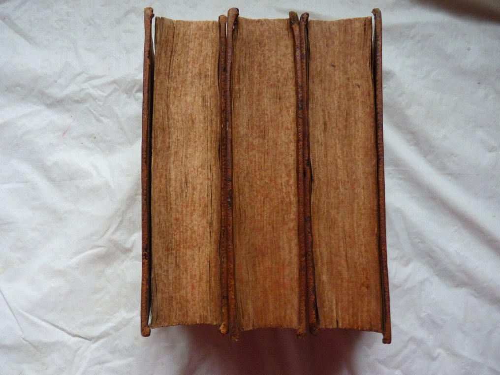 Pierre le Roy/ Jean Passerat/Nicolas Rapin - Satyre menippée de la vertu du catholicon d'Espagne et de la tenue des états de Paris - 1709-1711 #3.2