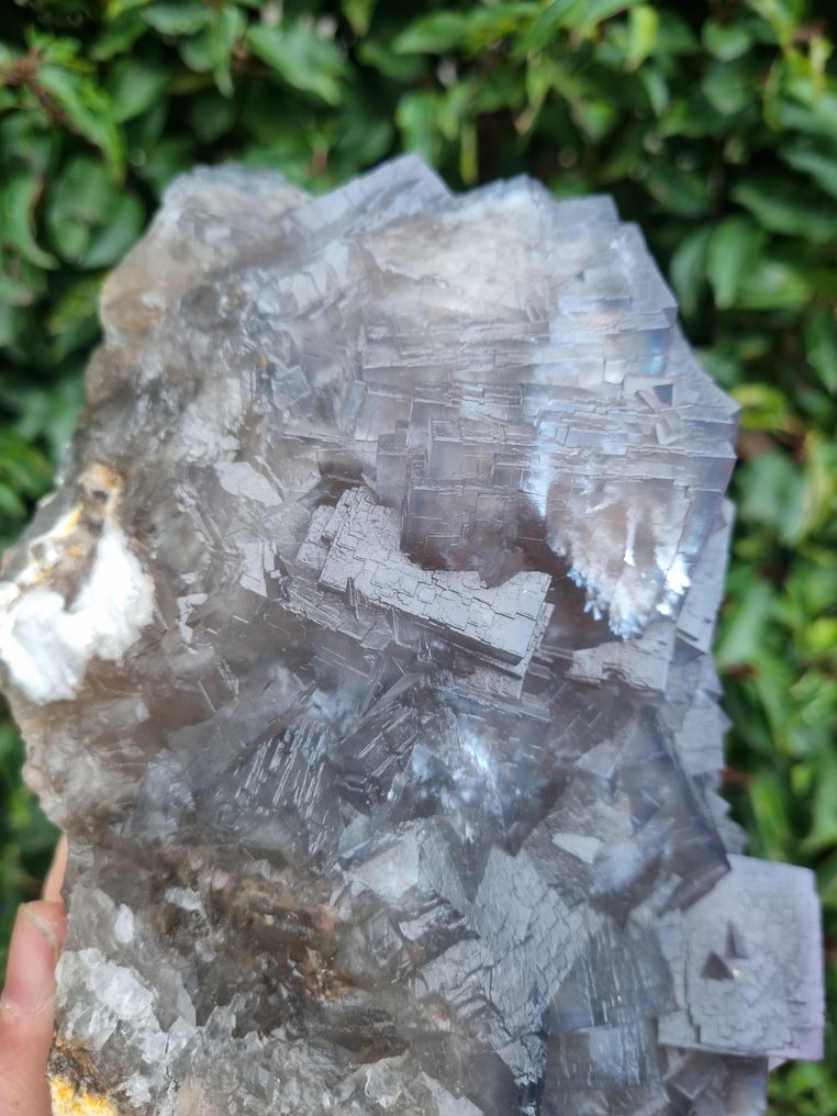 XXL 高品质蓝色/紫色萤石 - 高度: 250 mm - 闊度: 160 mm- 4490 g #1.0