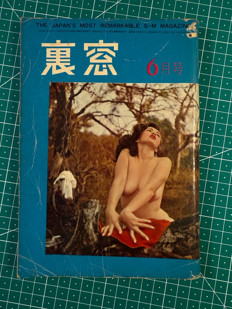 裏窓 (Uramado) - 1959-1961 #4.3