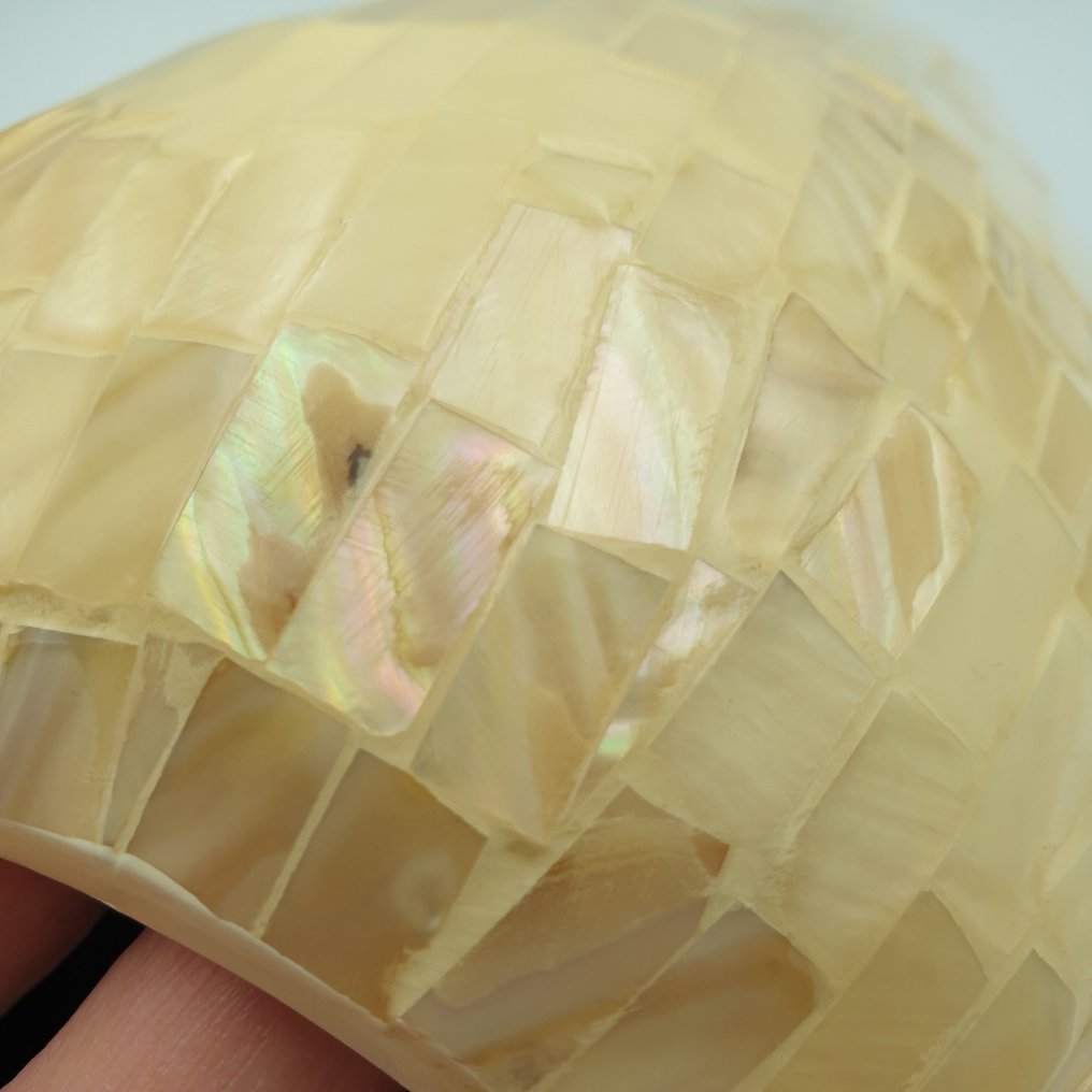 Vase  - Perlmutt #2.1