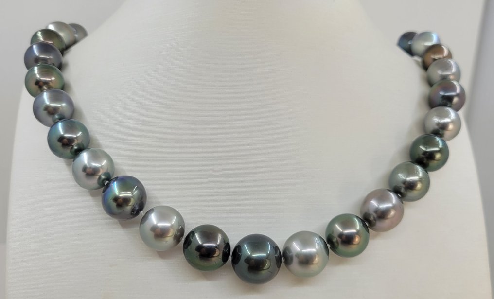 Kaulakoru - 14 kt. Valkokulta, Sertifioidut Tahitian-helmet - 11x14,5 mm #1.0