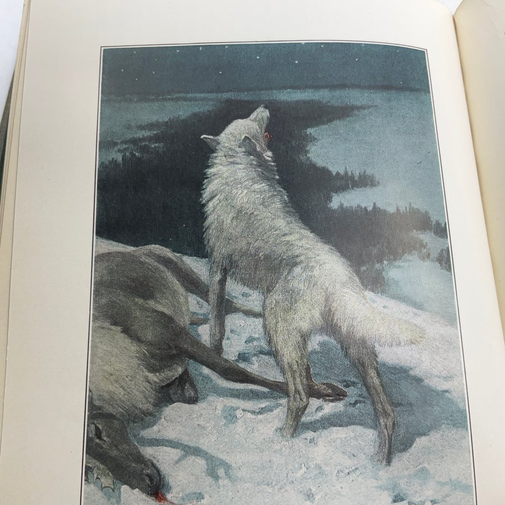 Ernest Thompson Seton & William J. Long - Seven Animal nature books for children by William J. Long and Ernest Thompson Seton - 1900-1925 #4.3