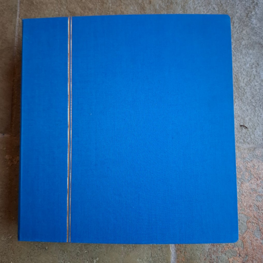 俄罗斯 1982/1991 - 旧藏邮票/邮票块/组合印刷大多为双面（未贴邮票和盖有邮戳的）在 Schaubek。 #1.0