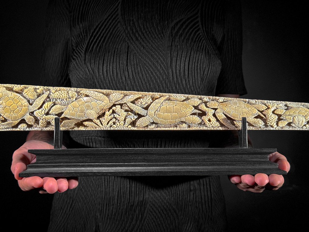 无底价 - 大型雕刻剑鱼吻部，安放在底座上 - 海洋主题 喙 - Xiphias Gladius - 12 cm - 85 cm - 6 cm- 非《瀕臨絕種野生動植物國際貿易公約》物種 #2.1