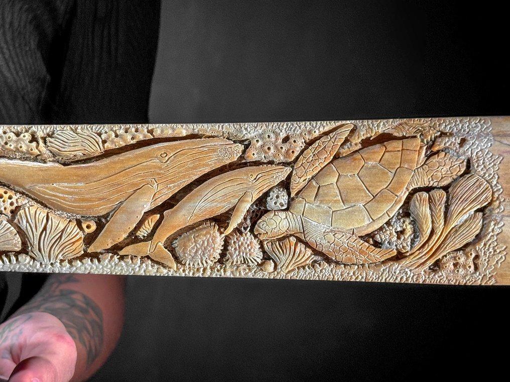 无底价 - 一把大型手工雕刻的剑鱼，放置在定制底座上 - 海洋主题 喙 - Xiphias Gladius - 14 cm - 81 cm - 6 cm- 非《瀕臨絕種野生動植物國際貿易公約》物種 -  (1) #4.3