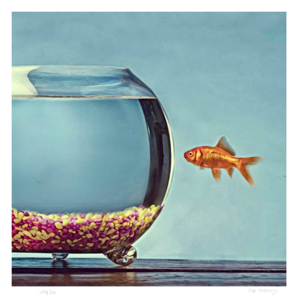 Mr Strange - The Goldfish #1.0