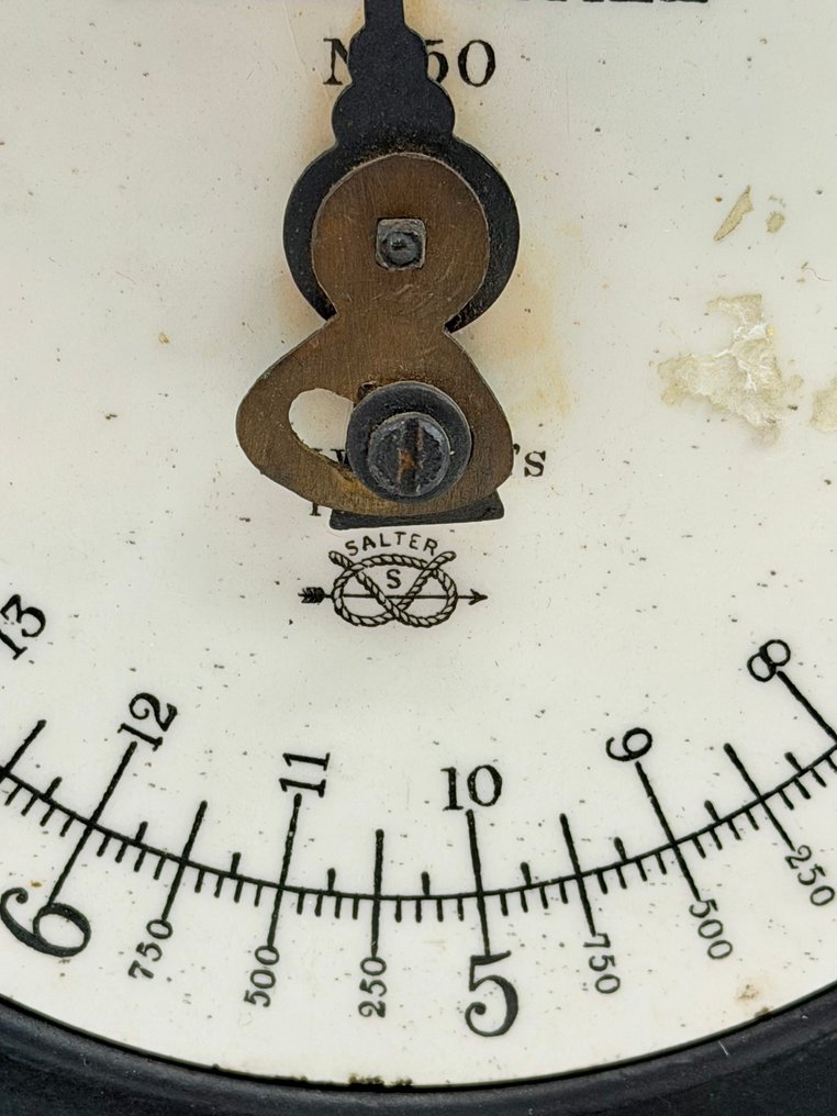 Salter’s - Balanza o báscula - Family Scale - Hierro #4.3