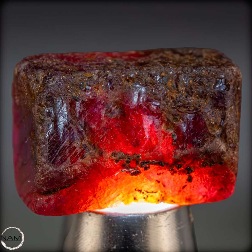 Cristal brut de rubis naturel. Fragment de pierre précieuse rare, d'une intensité lumineuse exceptionnelle - 54,55 ct- 10.91 g #1.0