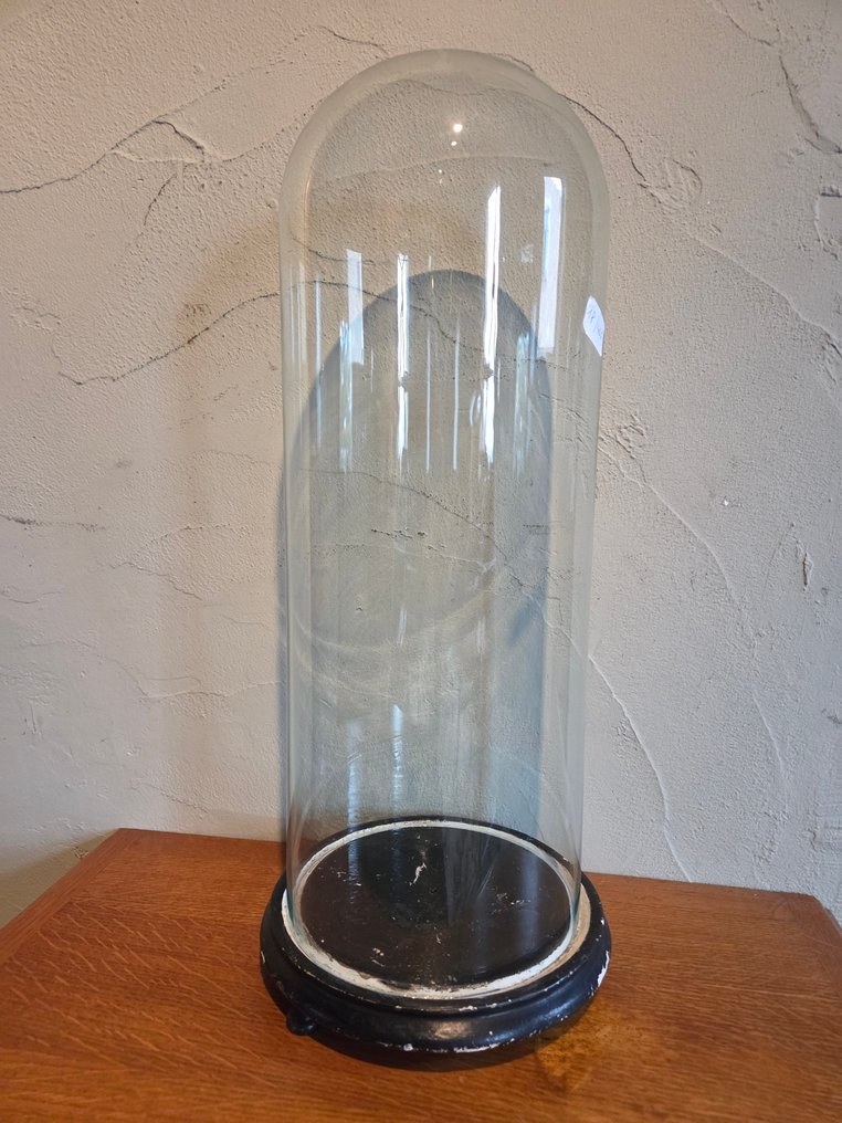 Globe - stolp - antiek - 1901-1920 - Antique round display case with original wooden base. Dimensions: height without base approximately #1.0
