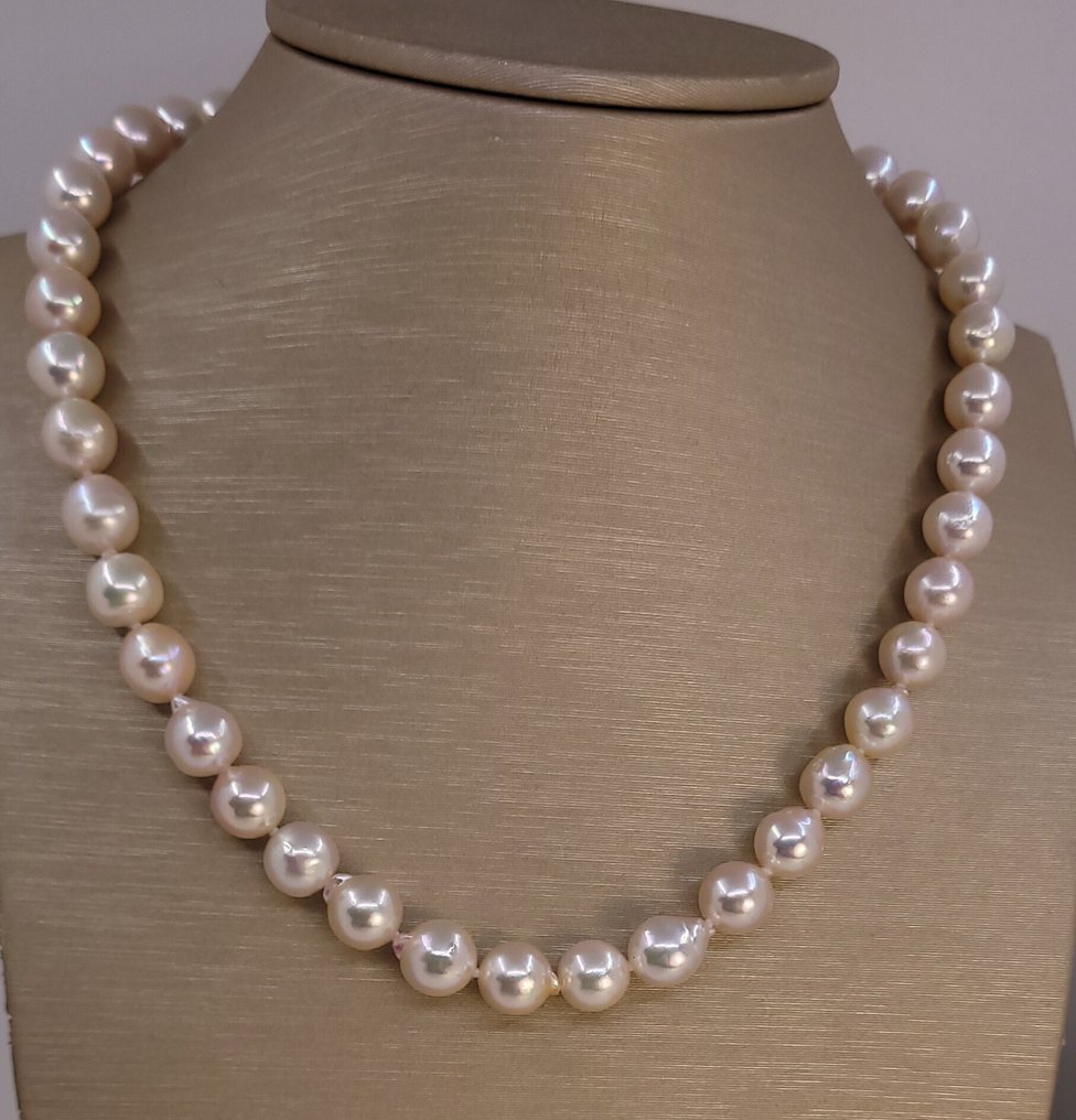 Senza prezzo di riserva - Collana Argento, Perle Akoya luminose da 9x9,5 mm #3.2