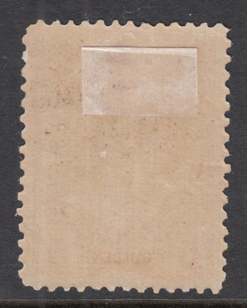 Ολλανδία 1906 - Βασίλισσα Wilhelmina 'Bontkraag', σε ανταγωνισμό B. - NVPH 79 #1.0