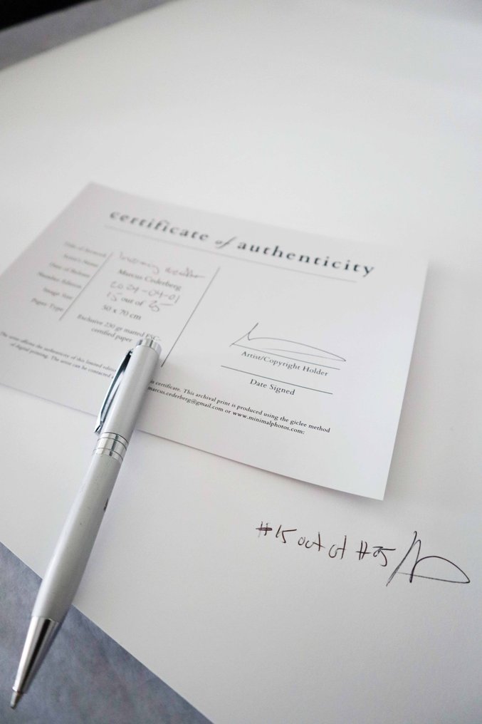 Marcus Cederberg - Go in! #4.3