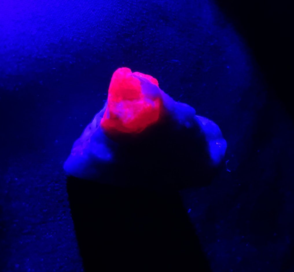 Rubis 82,13 carats ! taille 3,50 cm x 2,20 cm, afghane, sang rouge, rubis de la plus fine qualité, AA,- 16.42 g #3.2