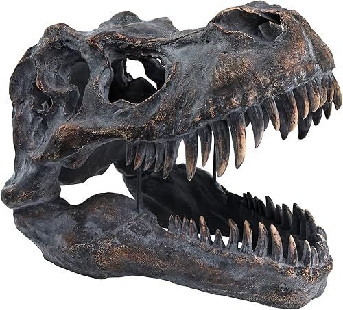 墙面装饰 - T-rex 骷髅墙饰 #3.2