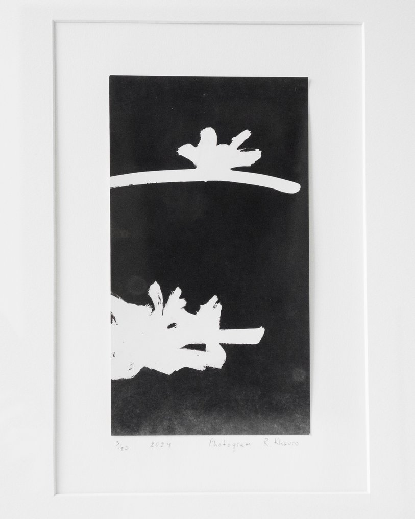 Ros Khavro - Gelatin silver print - Abstract #3.2