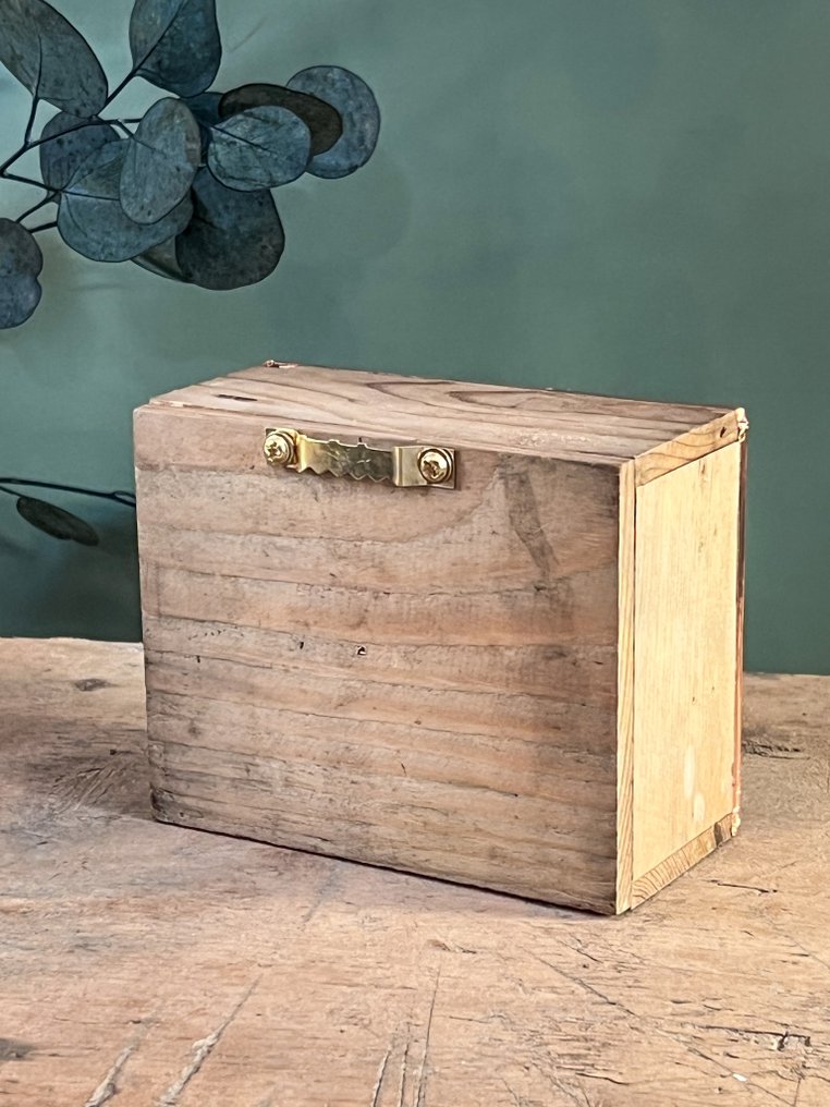 蝴蝶 动物标本剥制全身支架 - Charaxes ameliae dans une boite postale ancienne 1900 (Charaxes ameliae in an old postal box 1900) - 9 cm - 11.5 cm - 5.5 cm - 非《濒危物种公约》物种 - 1 #4.3