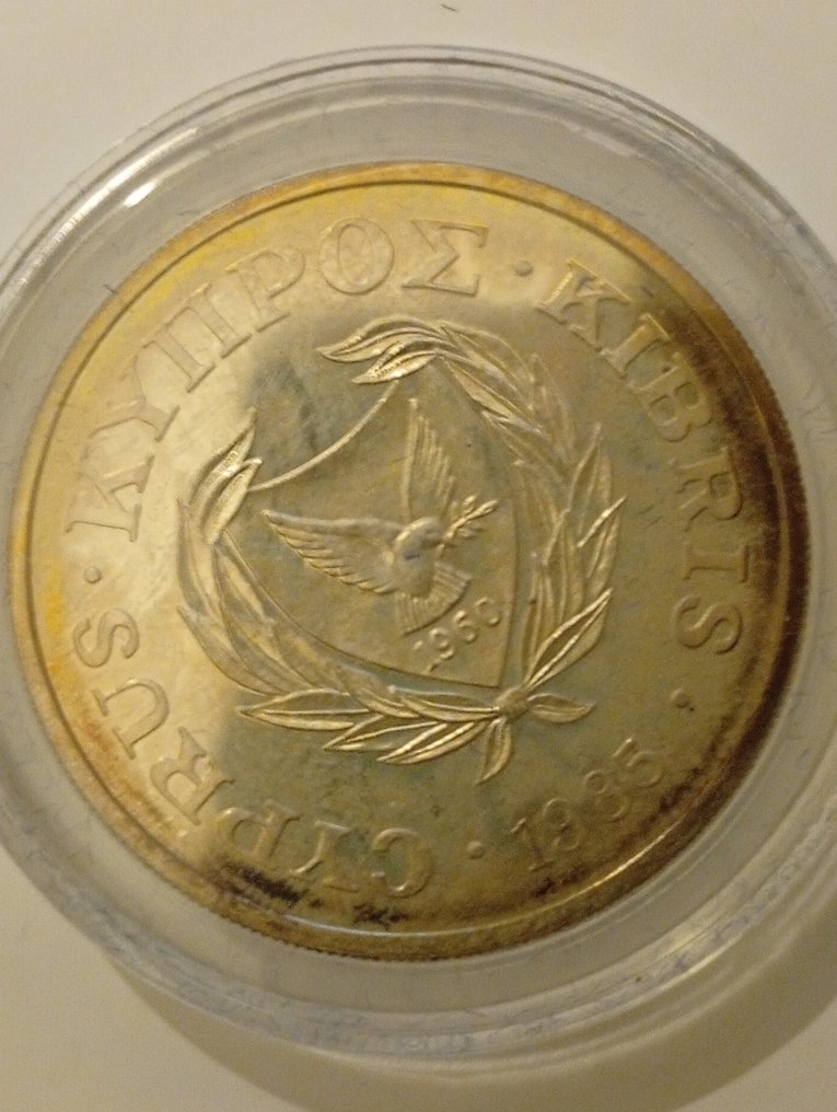 Cyprus. 50 Cent 1985 in argento, FAO (No reserve price) #3.2