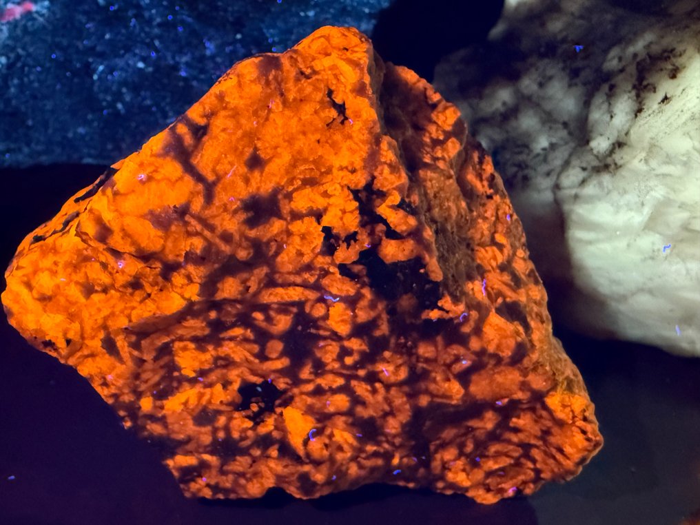 Colecție uimitoare de minerale fluorescente cu ultraviolete de lungă undă, extrem de luminoase. Fluorescent- 1071 g - (5) #3.2