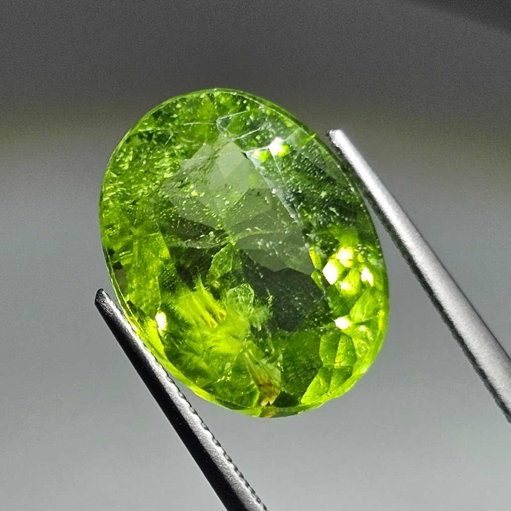 Sans prix de réserve - 1 pcs  Jaune, Vert Péridot  - 8.84 ct - International Gemological Institute (IGI) #1.0