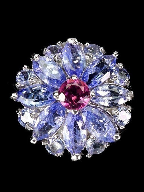 χωρίς τιμή ασφαλείας - Σκουλαρίκια Ασημί Τανζανίτης - Garnet #3.2