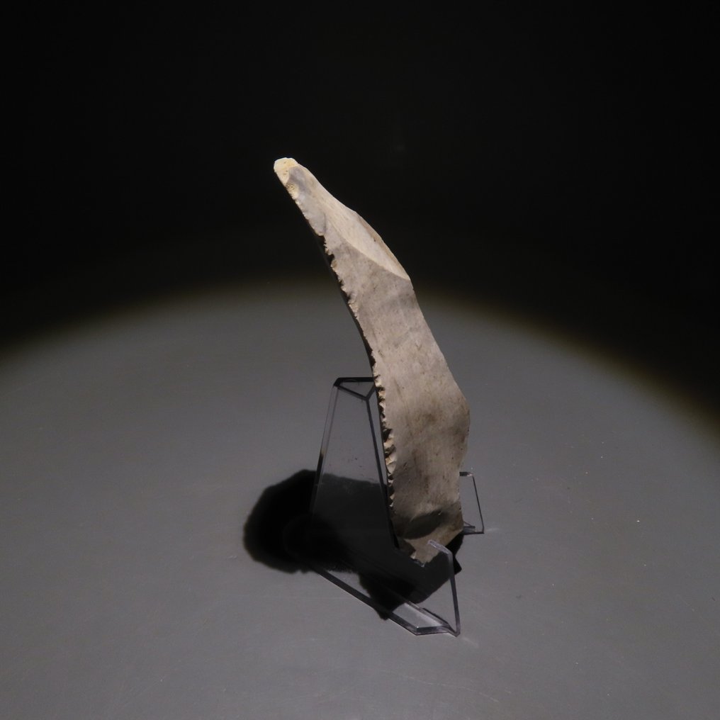 新石器時代 燧石 工具。斯皮恩,公元前4500-3500年。高10.1厘米。西班牙进口许可证。 (沒有保留價) #2.1